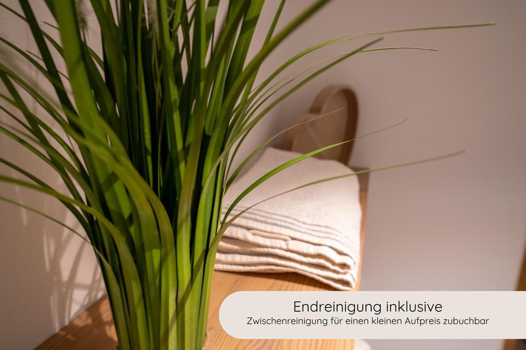 Invita Natur-Chalets Penthouse - Familienurlaub Im Schwarzwald - 240Qm Bad Duerrheim Exterior photo